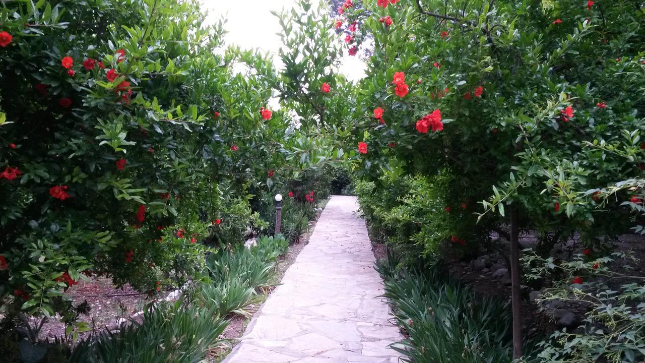 Hotel Yavuz Bungalow Çıralı Zewnętrze zdjęcie